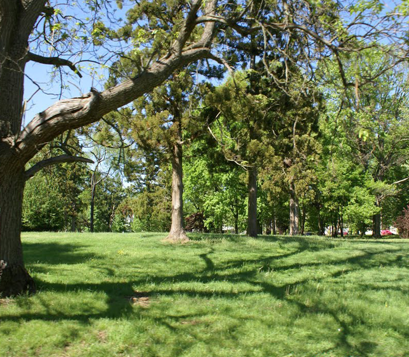 Cadwalader Park, at just over 100 acres, is the City of Trenton’s most significant and historically important open space.