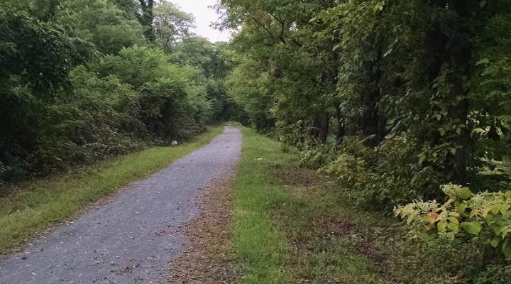 Cadwalader Park Bike Paths