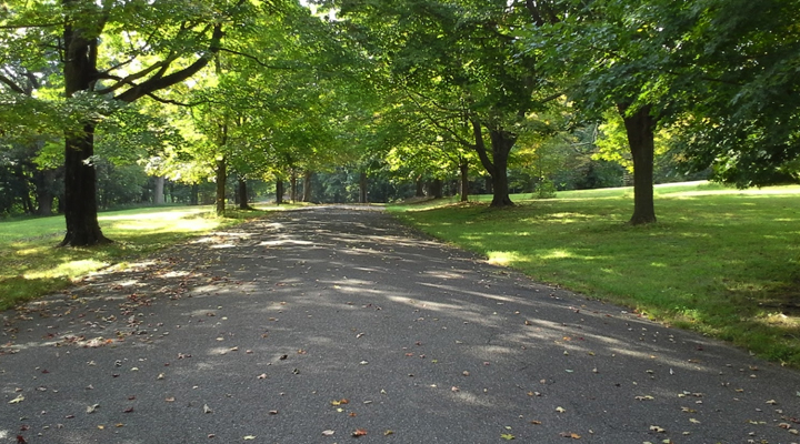 Bike Path