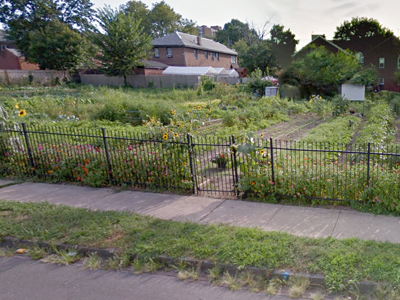 Chestnut Community Garden