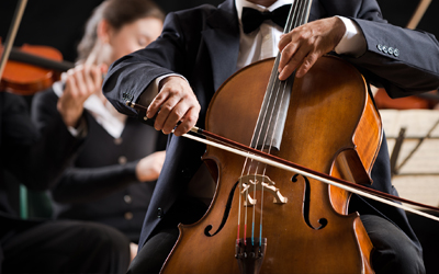 Standard Post with Gallery