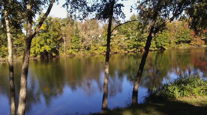 Stacy Park
